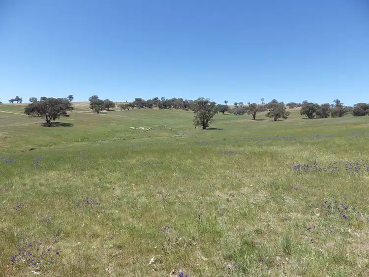 Fifth view of Homely rural property listing, 75 Bullfrog Road, Woodstock NSW 2793