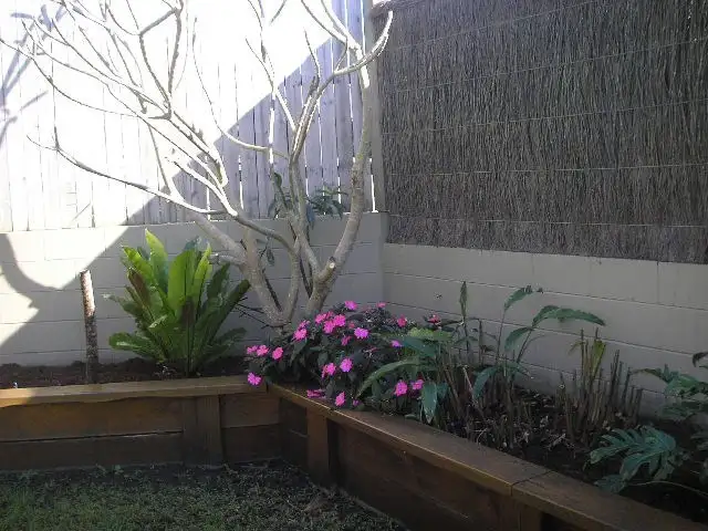 Fourth view of Homely house listing, 6 Wilfred Street, Lota QLD 4179