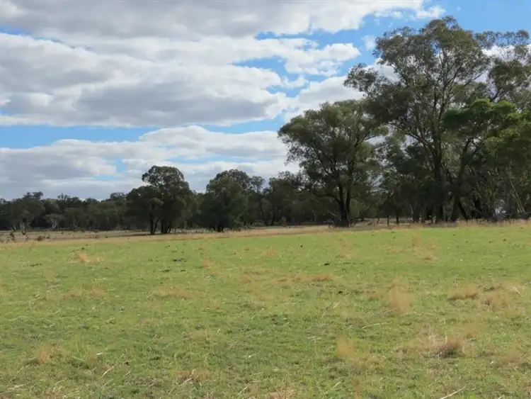Sixth view of Homely rural property listing, 60 Springdam Road, Temora NSW 2666