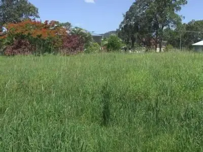 Second view of Homely land listing, 8 Zephyr Street, Russell Island QLD 4184