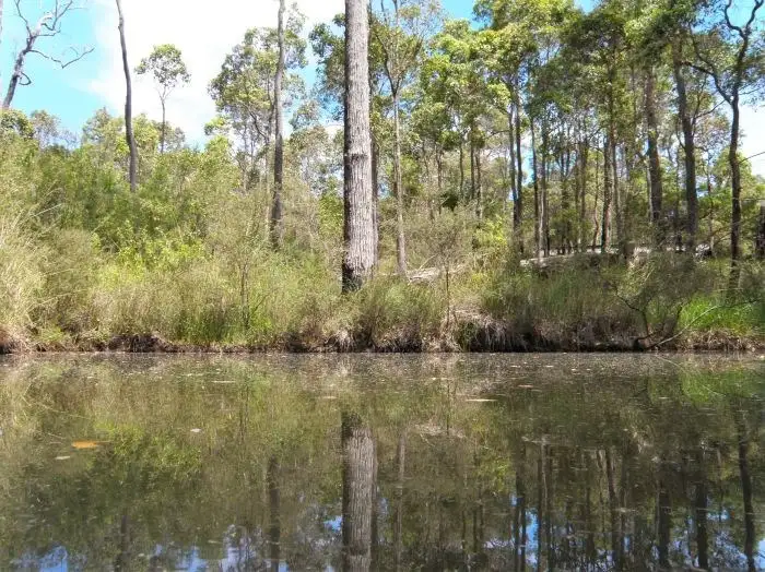 Lot 9 Chalwell Road, Nannup WA 6275