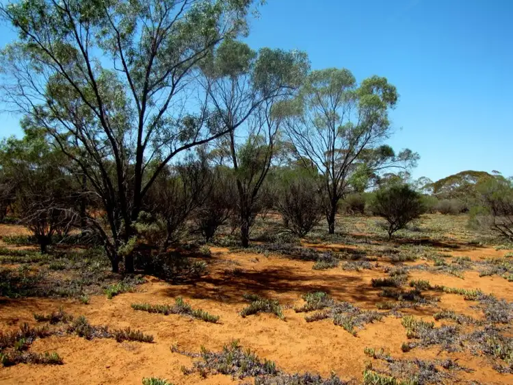 Third view of Homely land listing, Section 559 Sturt Highway, Monash SA 5342
