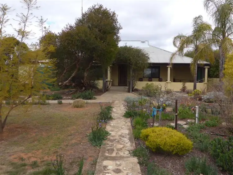 129 McKenzie Road, Barmera SA 5345