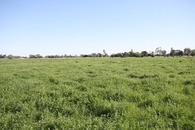 Second view of Homely rural property listing, 752 Bamawm Road, Bamawm VIC 3561
