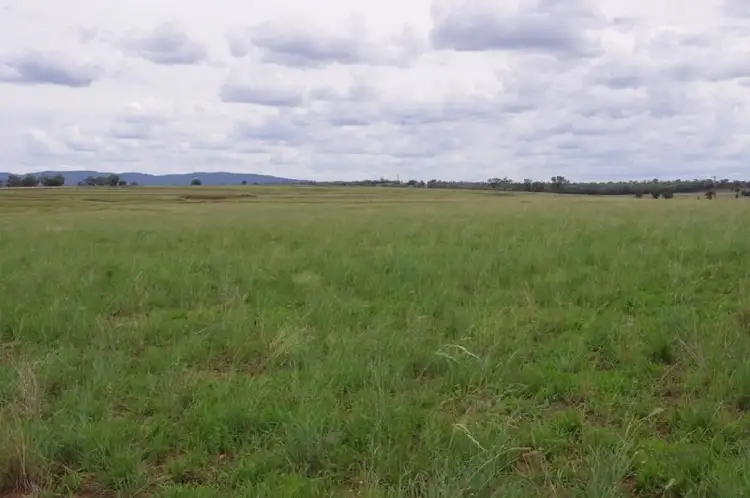 Seventh view of Homely rural property listing, 2233 'House Block' Elcombe Road, Bingara NSW 2404