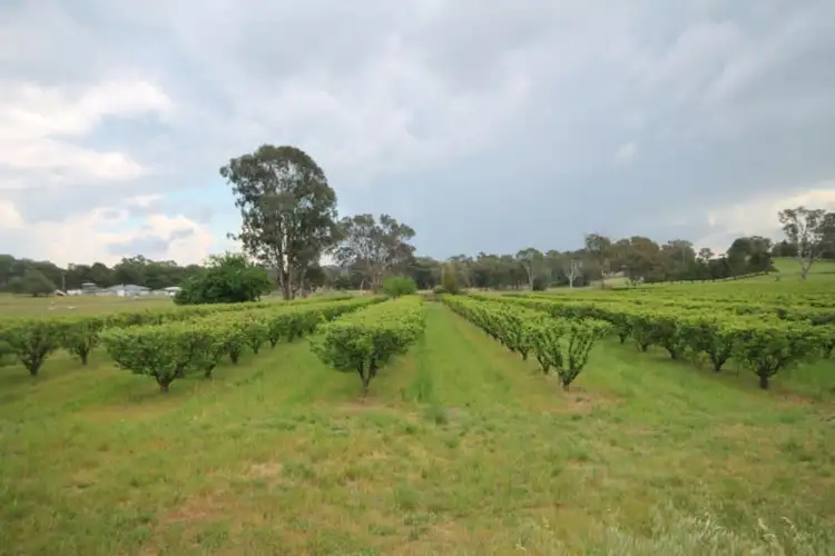 Second view of Homely land listing, 189 Jasprizza Lane, Young NSW 2594