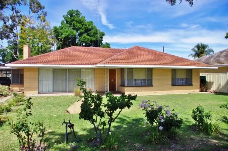 171 Eighteenth Street, Renmark SA 5341