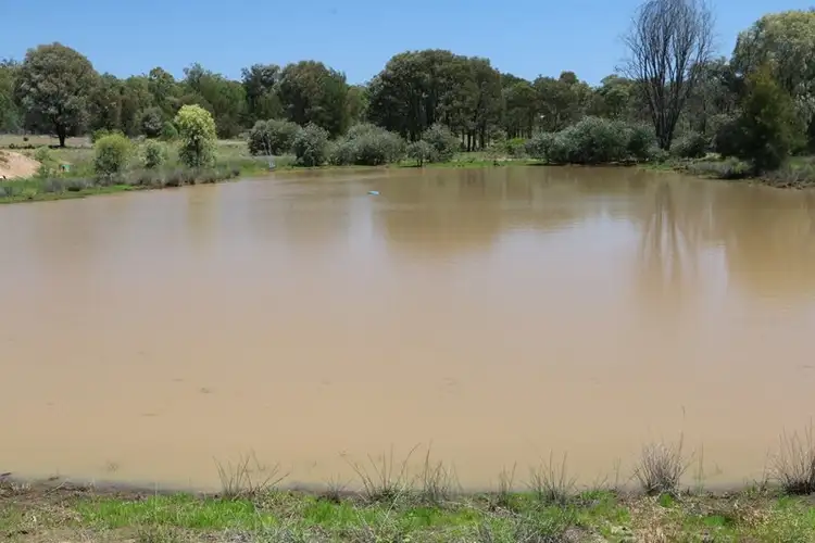 Fifth view of Homely rural property listing, 0 WESTGRIFF, Jackson QLD 4426