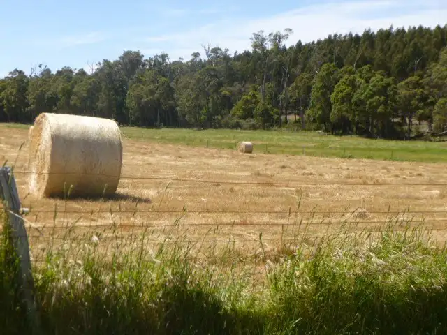 Fourth view of Homely rural property listing, 363 Amarellup Road, Perillup WA 6324