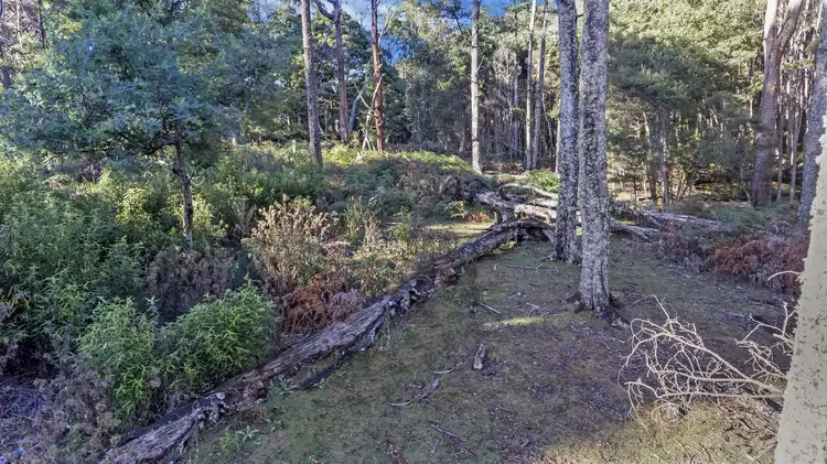 Main view of Homely land listing, Evans Road, Karoola TAS 7267