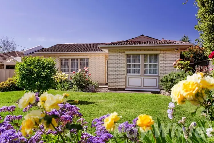 Main view of Homely house listing, 15 Mariner Street, Linden Park SA 5065