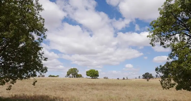 594 Pine Mount Road, Woodstock NSW 2793
