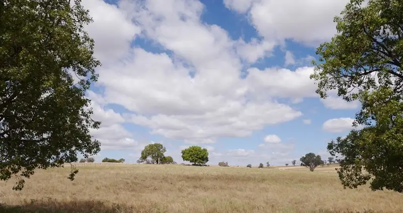 Main view of Homely land listing, 594 Pine Mount Road, Woodstock NSW 2793