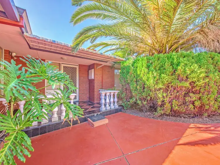 Fourth view of Homely house listing, 317 Alexander Drive, Dianella WA 6059