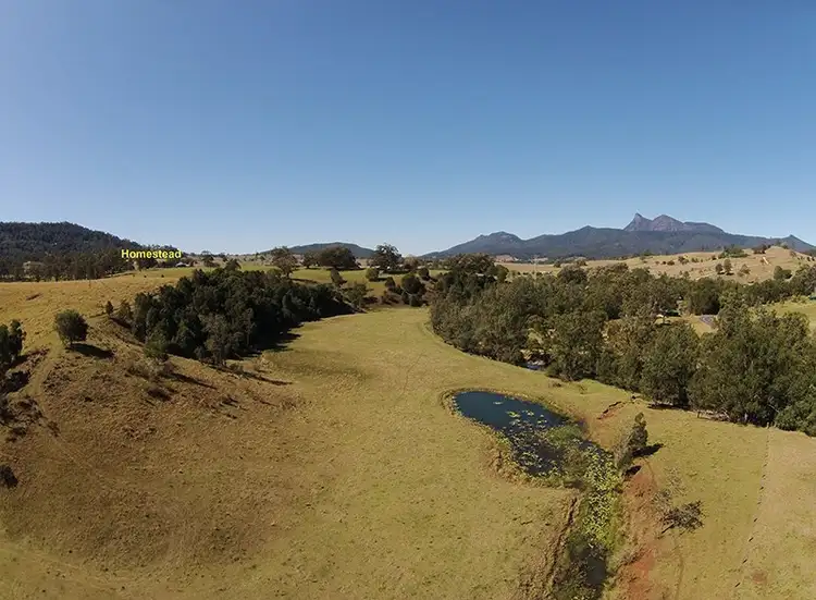 Seventh view of Homely rural property listing, 129 Hoggs Road, Tyalgum NSW 2484