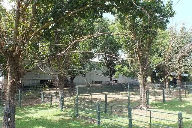 Seventh view of Homely rural property listing, 1157 Bald Ridge Road, Burraga NSW 2795