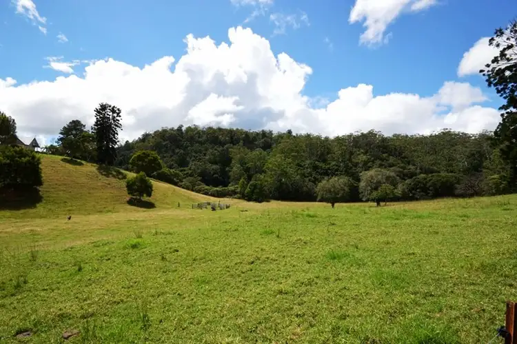 Seventh view of Homely rural property listing, 206 Timmsvale Road, Ulong NSW 2450