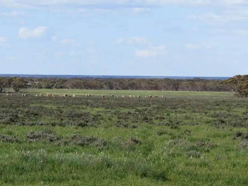 Main view of Homely rural property listing, "John's" Stock Route Road, Sutherlands SA 5374