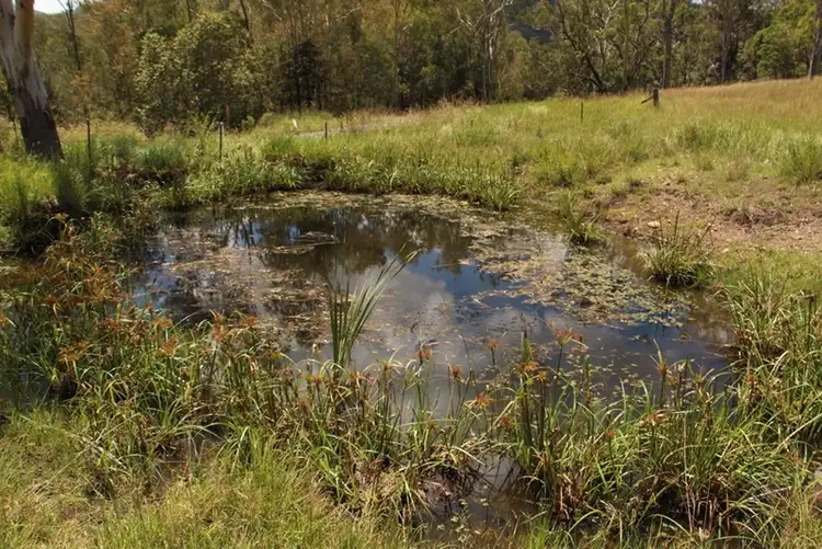 Third view of Homely rural property listing, Lot 5 Cainbable Creek Road, Cainbable QLD 4285