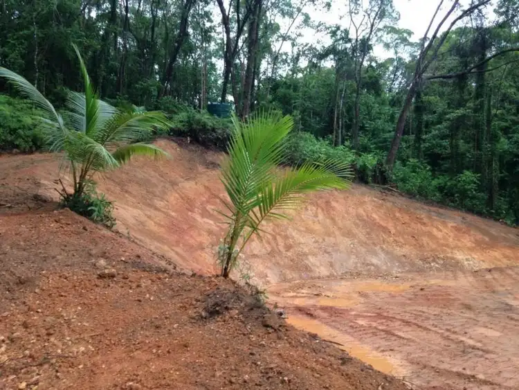 Sixth view of Homely land listing, Lot 38 Ronald Road, Forest Creek, Daintree QLD 4873