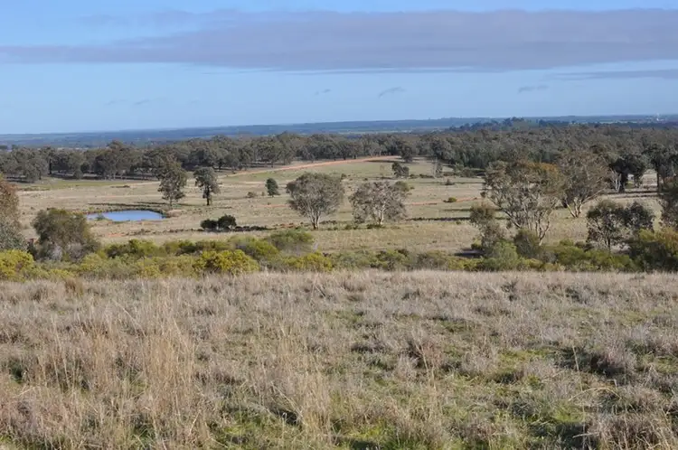 Sixth view of Homely rural property listing, 134 "Blue Meadows" Job Lane, Parkes NSW 2870
