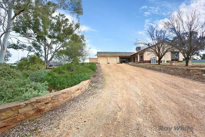 Main view of Homely house listing, 3-7 Eileen Street, Spalding SA 5454