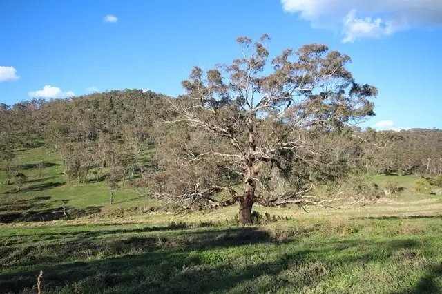 Fourth view of Homely rural property listing, 604 Mt Olive Road, Tarana NSW 2787