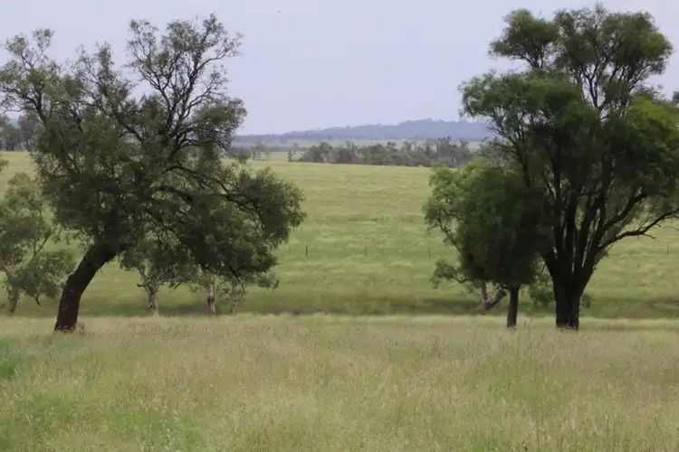 Main view of Homely rural property listing, 0 ALVALEA East, Roma QLD 4455