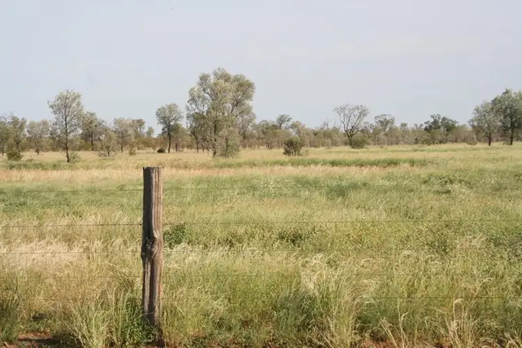 Second view of Homely rural property listing, . Westward Ho, Boulia QLD 4829