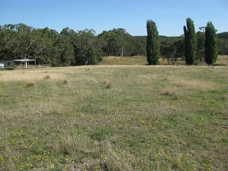 Seventh view of Homely rural property listing, 00 Miller Street, Dartmoor VIC 3304