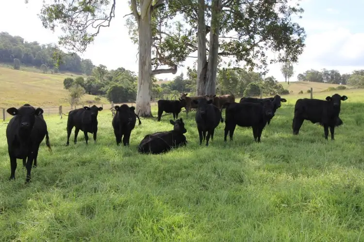 Sixth view of Homely rural property listing, Address available on request