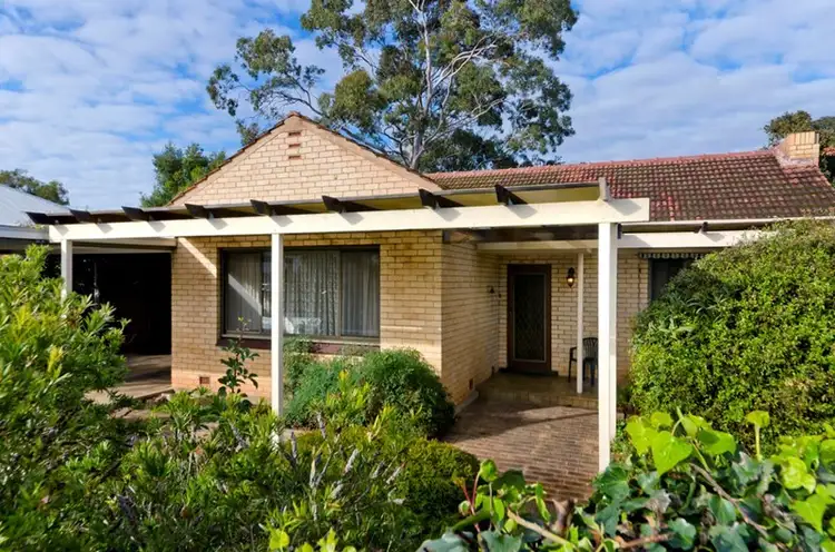 Main view of Homely house listing, 51 Morgan Avenue, Daw Park SA 5041