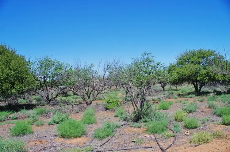 Second view of Homely land listing, 326 Katarapko Cres - Winkie, Berri SA 5343