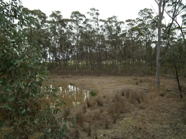 Fifth view of Homely rural property listing, Lot 1 Spring Lane, Bailieston VIC 3608