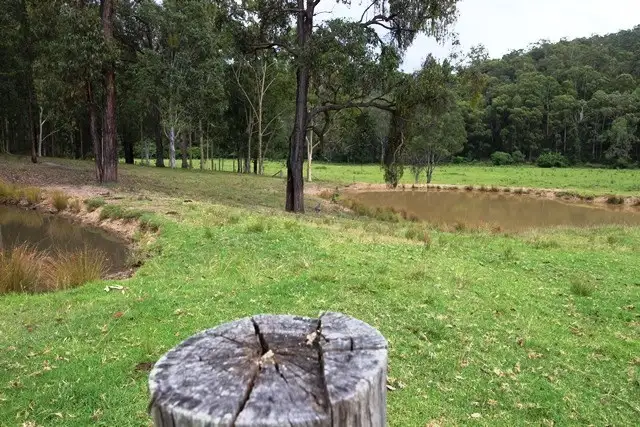 Seventh view of Homely rural property listing, 128A Quince Tree Lane, Congewai NSW 2325