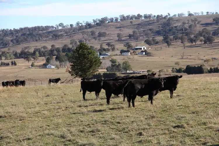 Second view of Homely rural property listing, Fairview, 13 Murray's Road, Wollomombi NSW 2350
