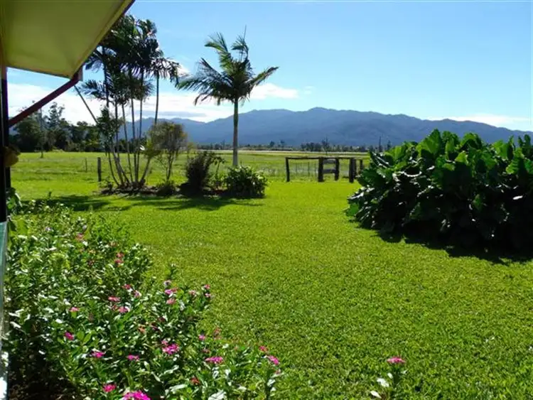 Third view of Homely rural property listing, 176 Tully/Mission Beach Road, Mission Beach QLD 4852