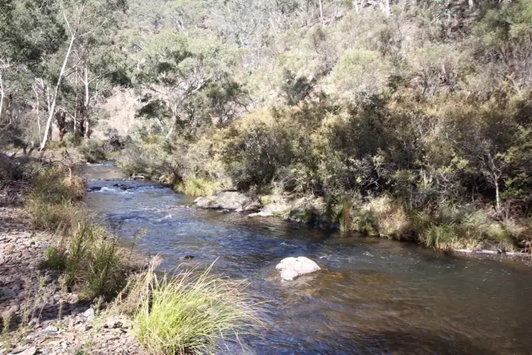 381 Sheepstation Forest Road, Oberon NSW 2787