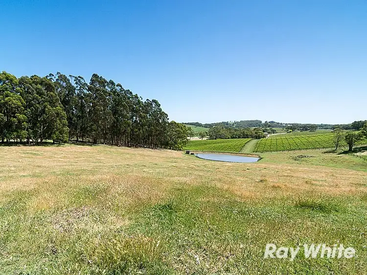 Second view of Homely rural property listing, 155 Macclesfield Road, Meadows SA 5201