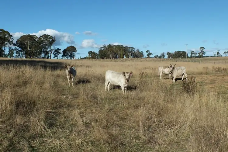 Second view of Homely rural property listing, 281 O'Connell Road, Oberon NSW 2787