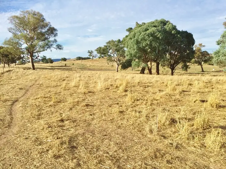 Third view of Homely land listing, 109 Dowling Drive MURRINGO via, Young NSW 2594