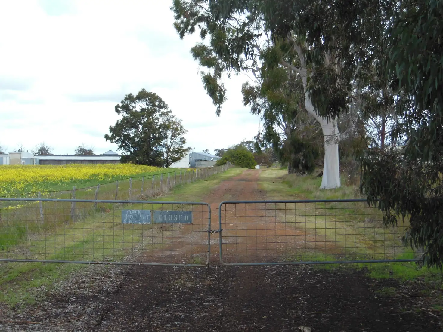 Main view of Homely rural property listing, Lemana 1992 Greenhills Road, Tambellup WA 6320