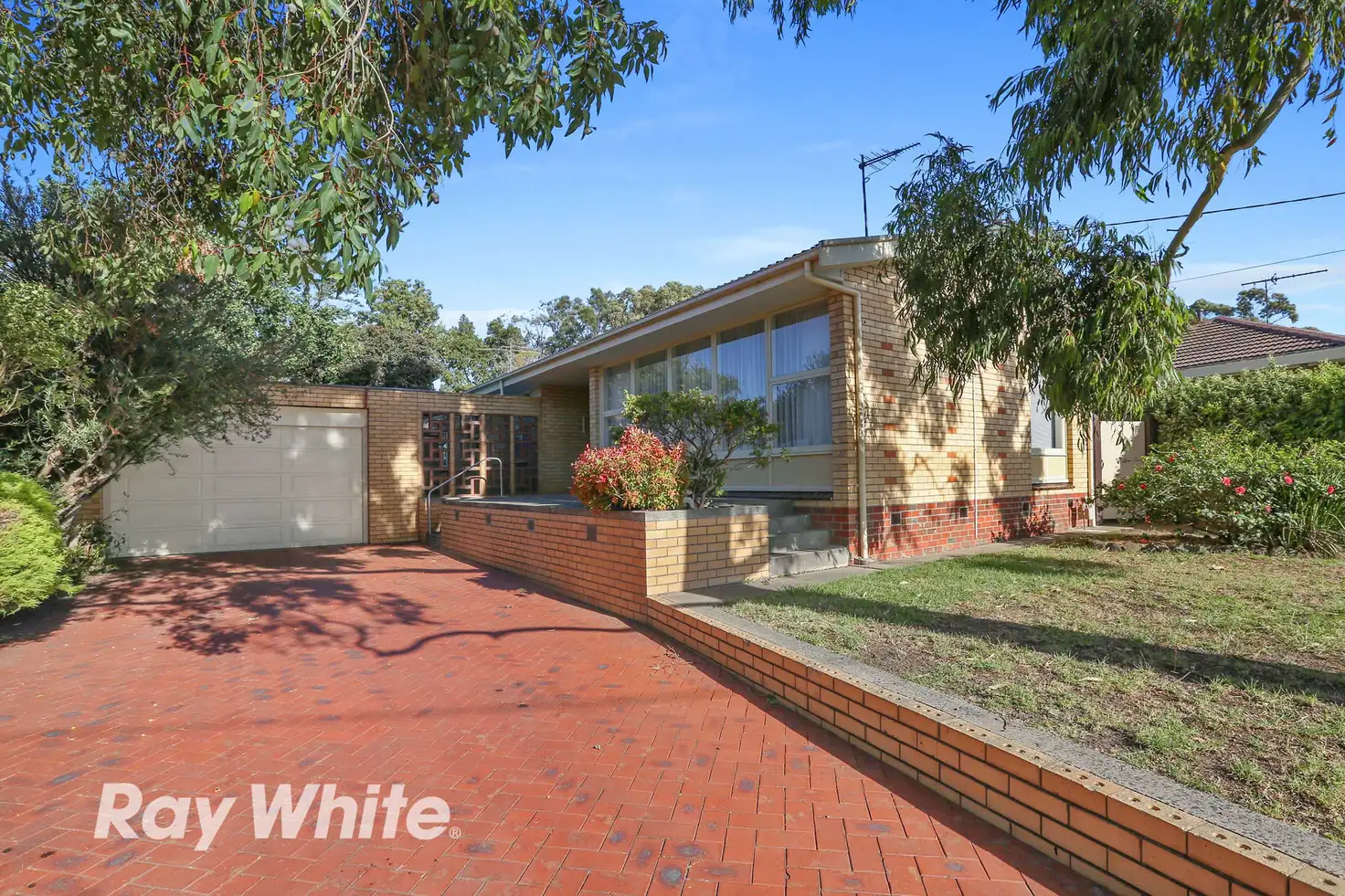 Main view of Homely house listing, 86 Calvert Street, Hamlyn Heights VIC 3215
