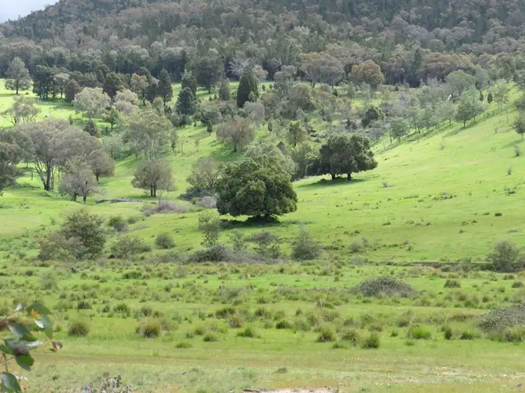 Fifth view of Homely rural property listing, 2154 Kangarooby Road, Gooloogong NSW 2805