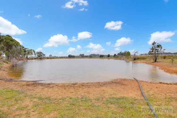 Second view of Homely rural property listing, 16115 Hume Highway, Marulan NSW 2579