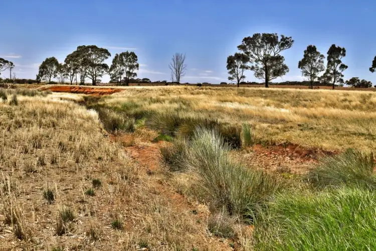 Fourth view of Homely rural property listing, "Tarnma Block" Curio Highway, Hampden SA 5374