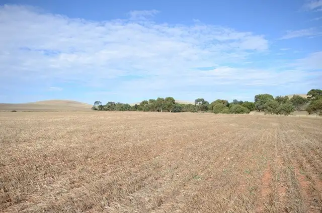 Seventh view of Homely rural property listing, Lot 446 Carmody Road, Leighton SA 5417