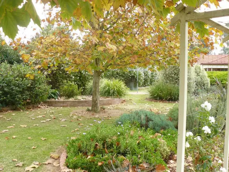Sixth view of Homely house listing, 188 Hoddle Street, Howlong NSW 2643