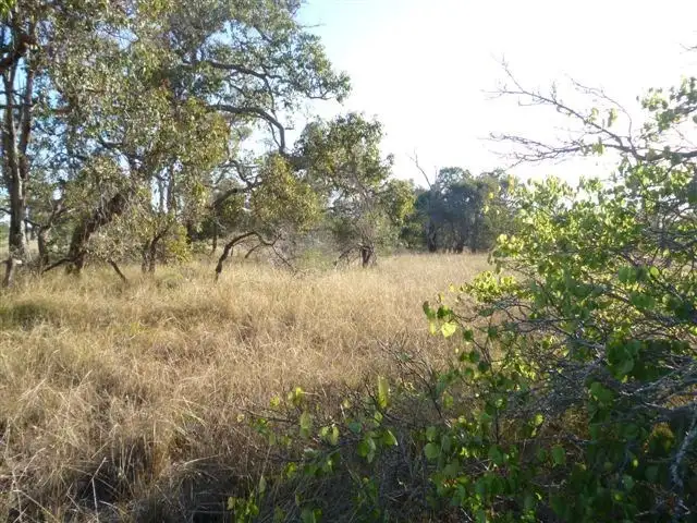 Main view of Homely land listing, 50 Wandoo Road, Katanning WA 6317