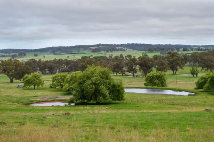 Seventh view of Homely rural property listing, Earlstoun 126 Earlstoun Road, Guyra NSW 2365